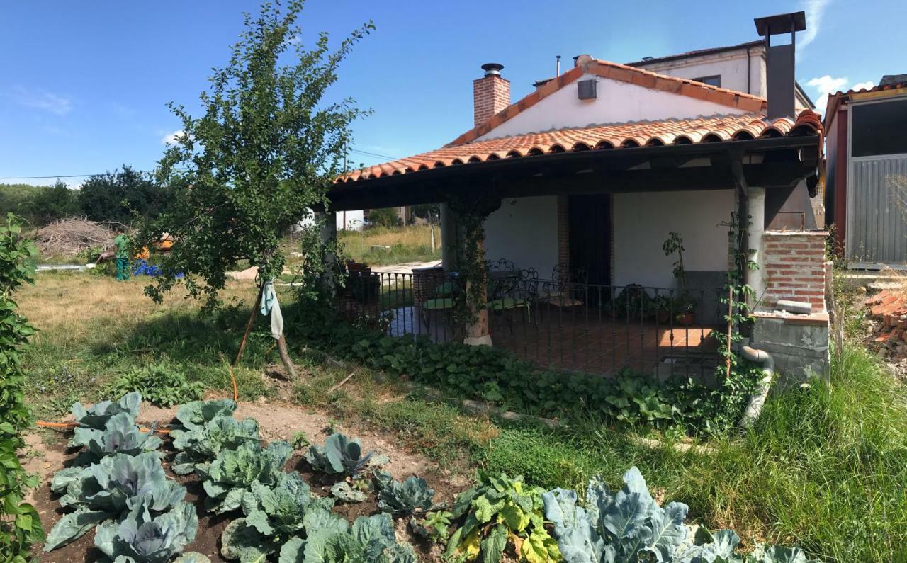 Casa De Pueblo Con Merendero Alquilable Opcionalmente Casarejos Exterior foto